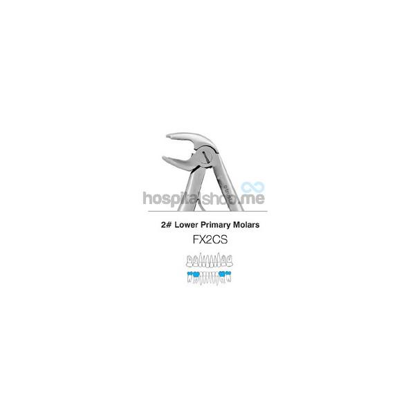 Trusta Extraction Forcep Peedo Lower Primary Molars No.2 Standard ANE-FX2CS