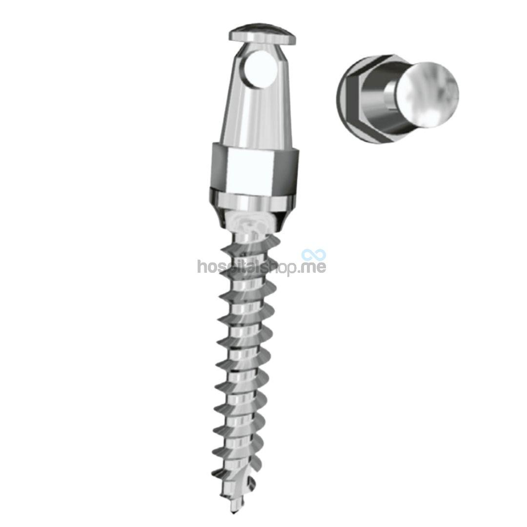 Dentos Mini Implant Long Head 14 Series D 1.4mm L-8mm 2Pcs LH1413-08