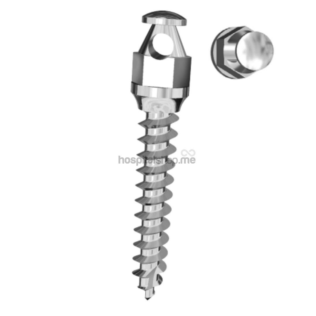 Dentos Mini Implant Short Head 13 Series D 1.3mm L-6mm 2Pcs SH1312-06