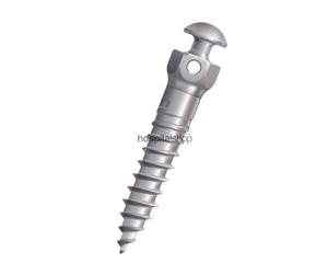 item.website_item_name